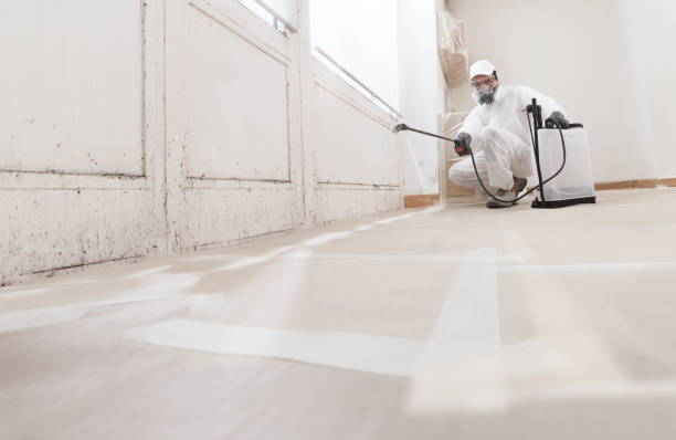 24/7 Emergency Attic Mold Removal experts in Waynesboro, VA